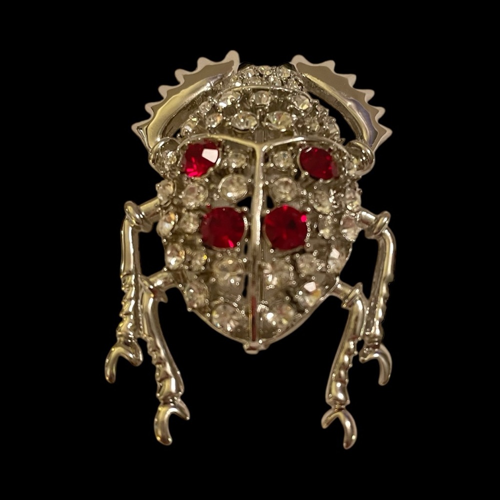 Silver and Red Beetle Brooch